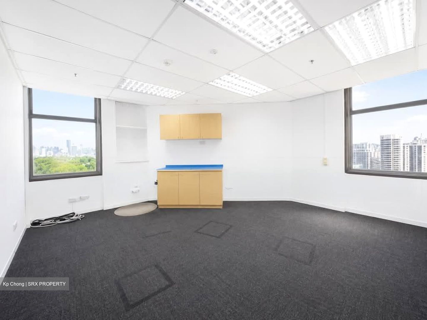 Raffles City Tower (D6), Office #570514191